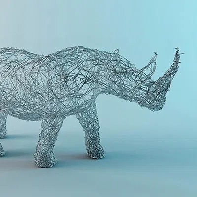 Rhinoceros