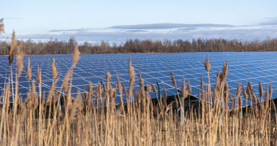 Parco agrisolare, al via le istanze per impianti fotovoltaici