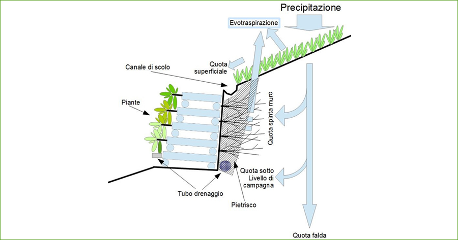 Ingegneria naturalistica: algoritmo procedurale per la corretta progettazione