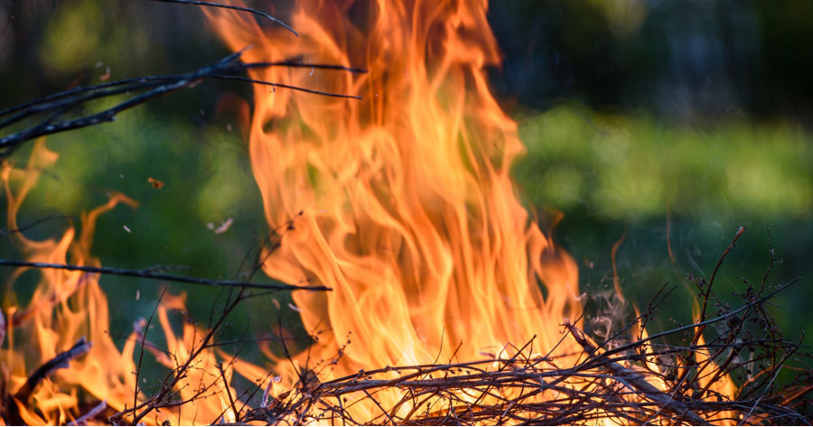 Attività antincendio boschivo: le raccomandazioni della Protezione Civile per l'estate 2023
