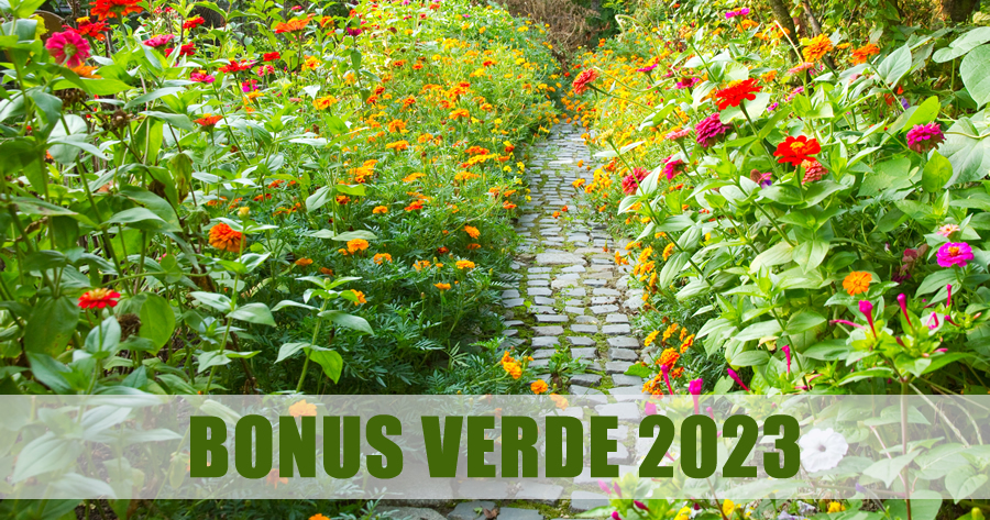 Guida al Bonus verde 2023: nuove indicazioni dal Fisco