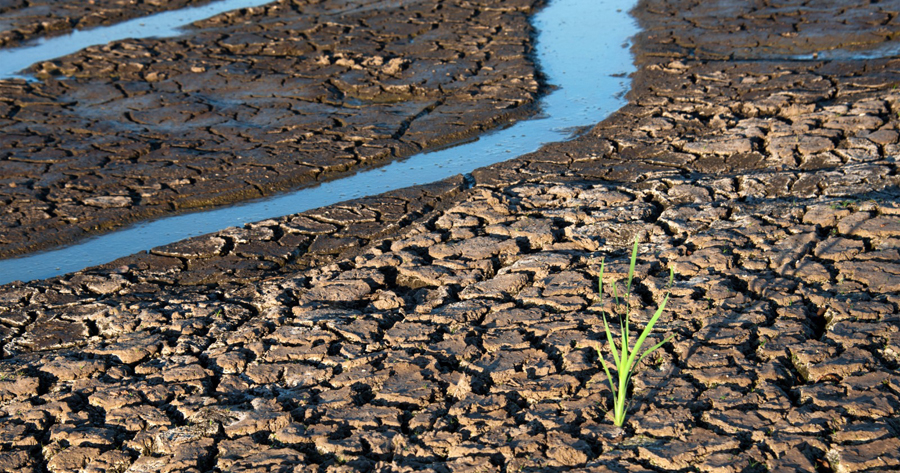 Misure contro la crisi idrica: Decreto Siccità in Gazzetta Ufficiale