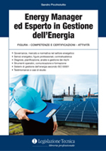 Energy manager ed Esperto in gestione dell'Energia