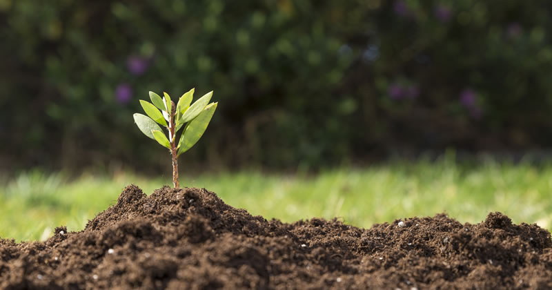 Imprenditore agricolo professionale: il beneficio IVA agevolata con la rivendita del terreno decade?