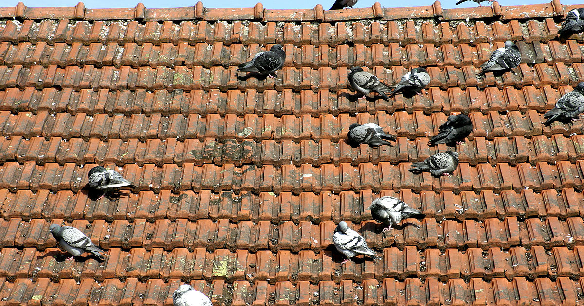 Le coperture spingenti