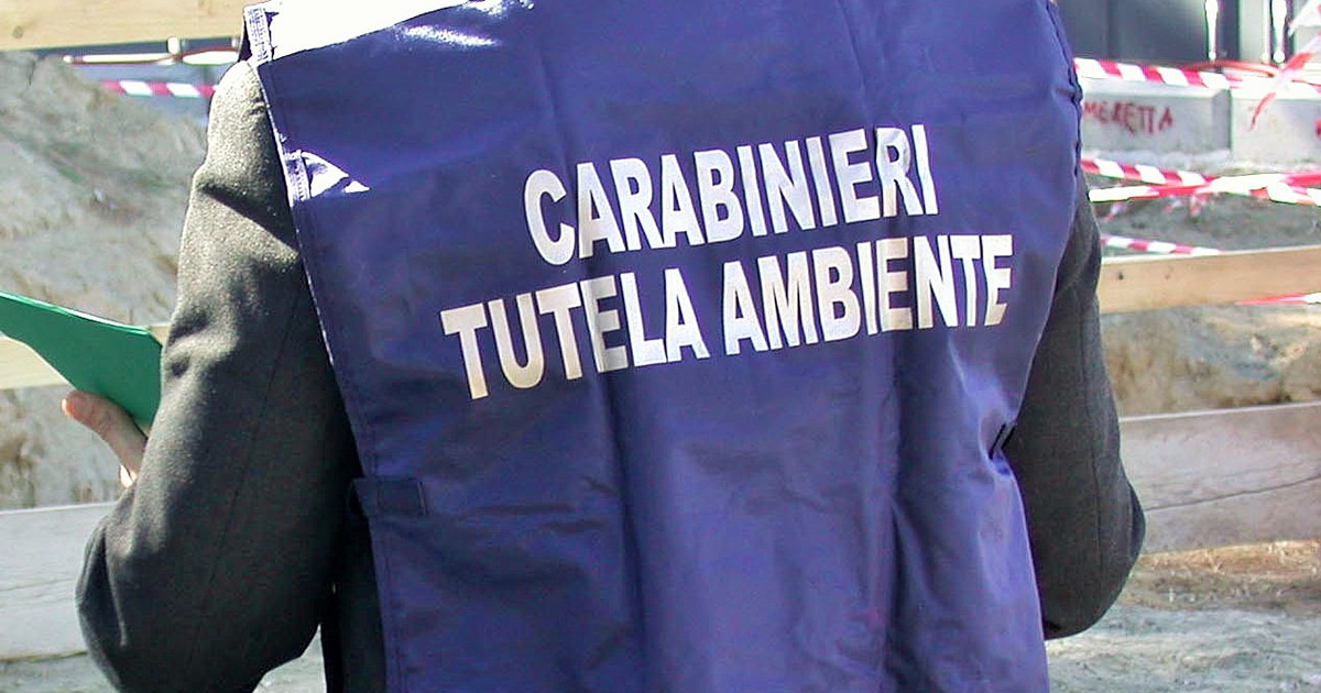 Ecoreati, inasprite le sanzioni per i reati contro l'ambiente