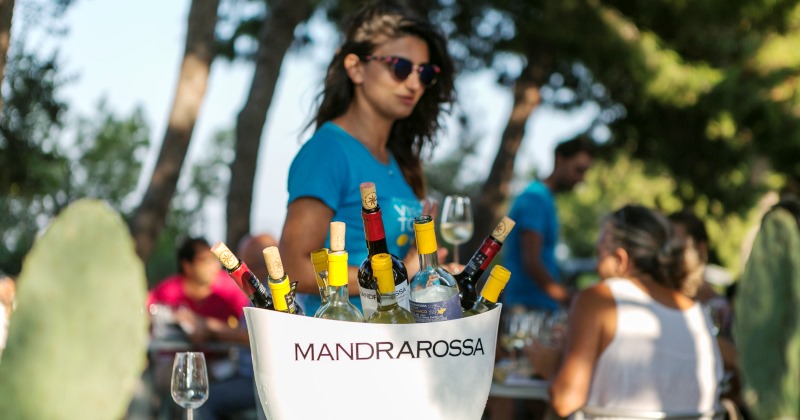 Mandrarossa vineyard tour 2019: A Menfi Mare, Vigne e Menfishire